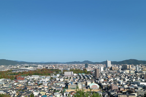 地域知識の豊富さ